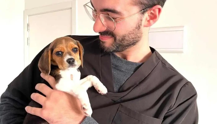 Dr. Sebastián Fidalgo | Oncología veterinaria - Uruguay