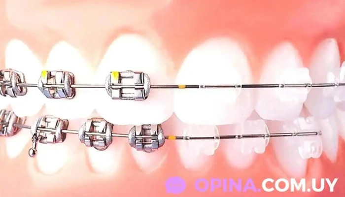 Dra. Mariajosé Fajardo Rossi - Montevideo