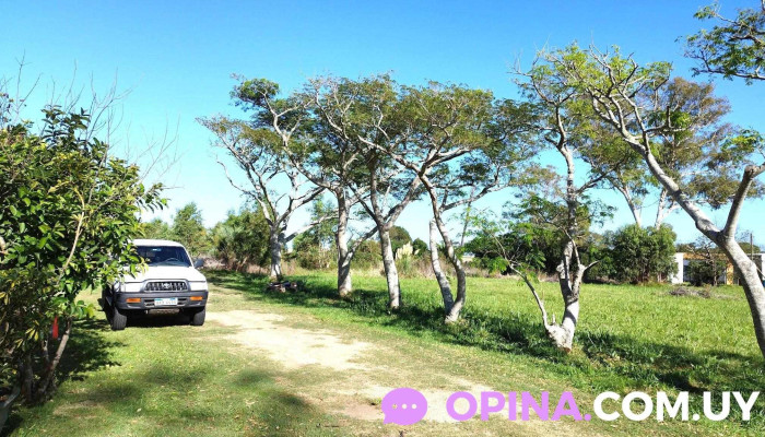 Driver Cars Escuela De Choferes La Paloma Abierto Ahora - La Paloma