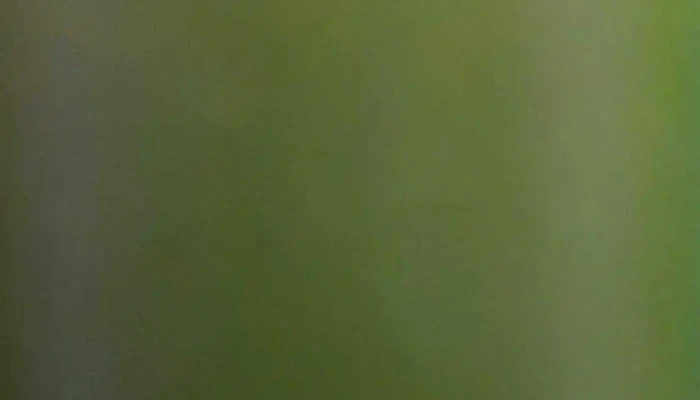 Dropper -  Videos - Montevideo