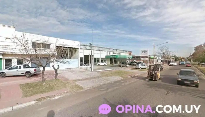 Eco Distribuciones - 60000 Paysandú