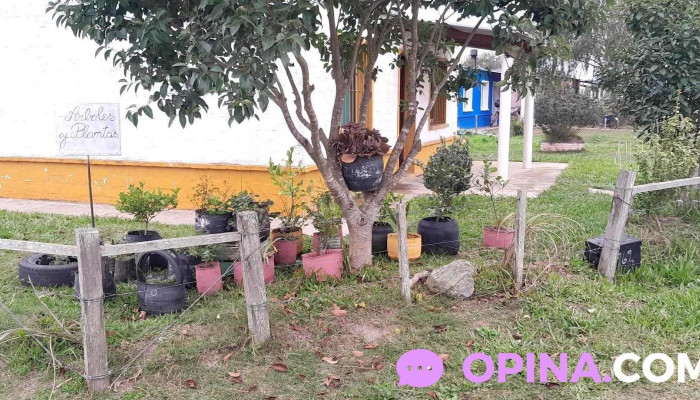 Ecobiohuerta -  Zona - Vergara