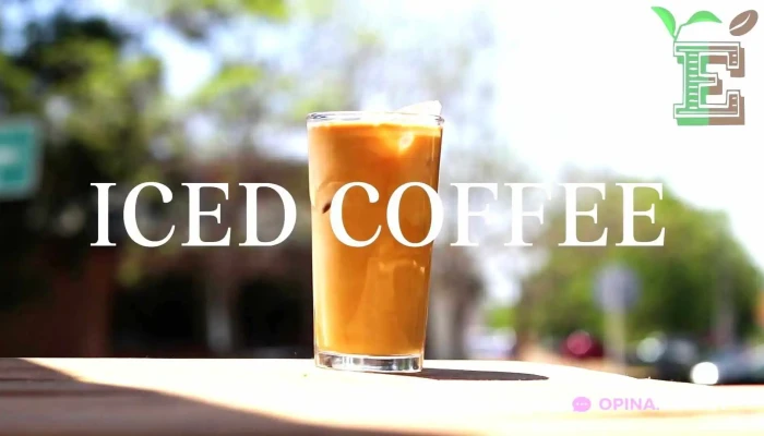 Ecocafe Videos