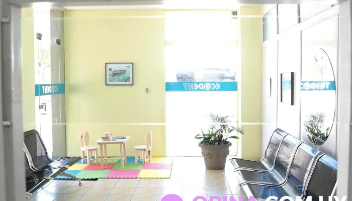 Ecodent -    Odontologia Como Llegar - Paysandú