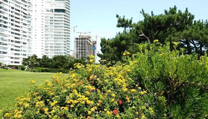 Edificio Fragata -  Apartamento - San Carlos