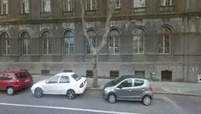 Editorial Mono -  Comentarios - Montevideo