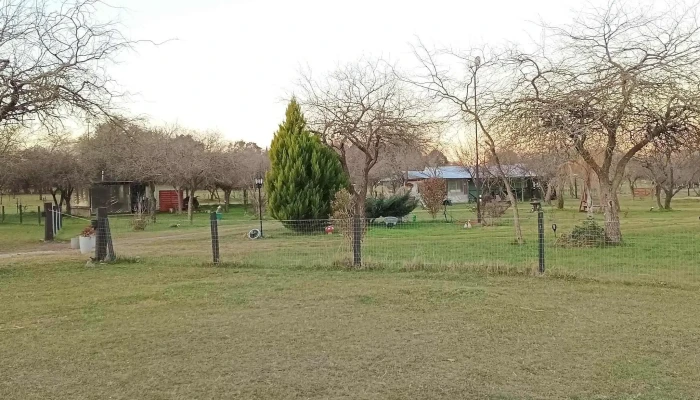 El Algarrobal:  Recientes - Restaurante