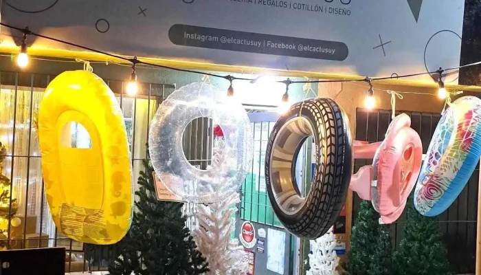 El Cactus -  Opiniones - Toledo