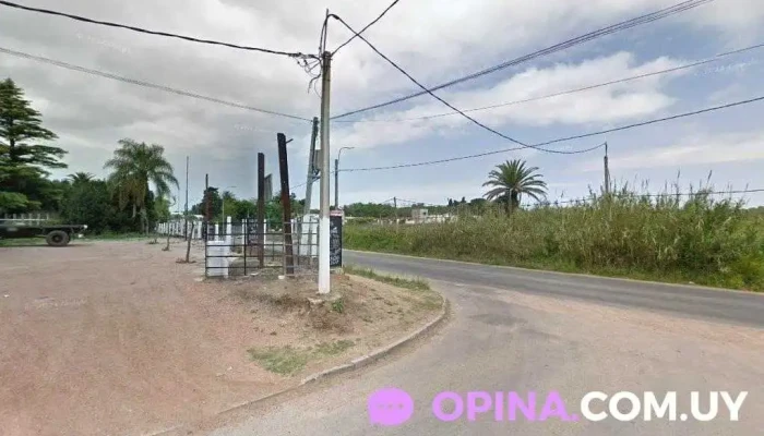 El Container - 12600 Montevideo