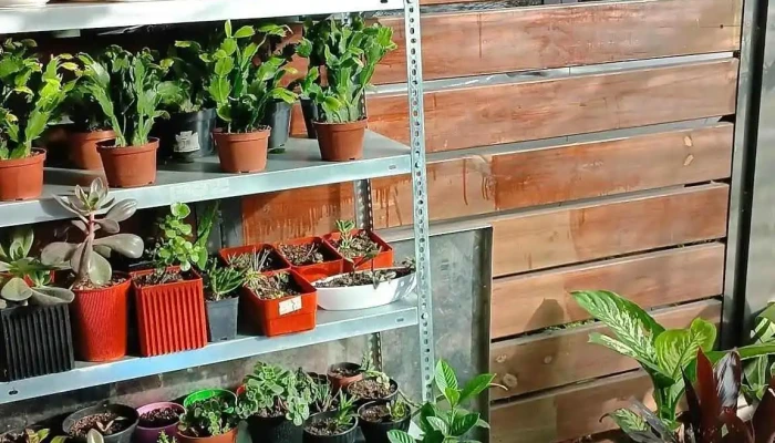 El jardín de Gaby - 11400 Montevideo