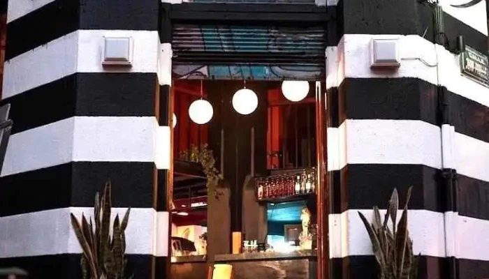 El Living Bar:  Todo - Bar