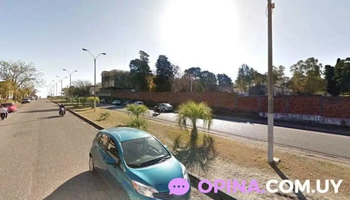 El Mayorista - 60000 Paysandú