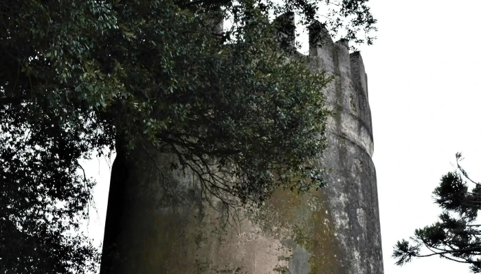 El Molino De Pando -  Pando - Pando