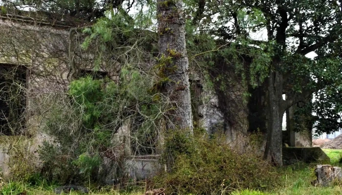El Molino De Pando -  Zona - Pando