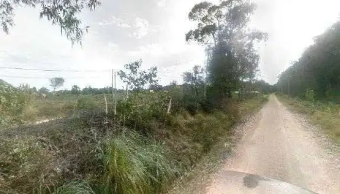 El Nido -  Cerca De Mi - San Carlos