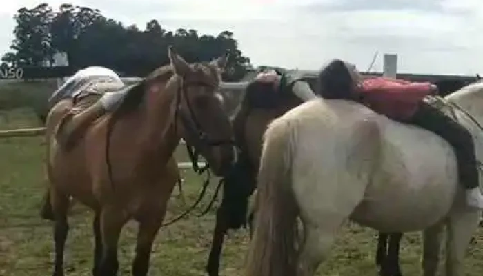 El Remanso -  Horario - Durazno