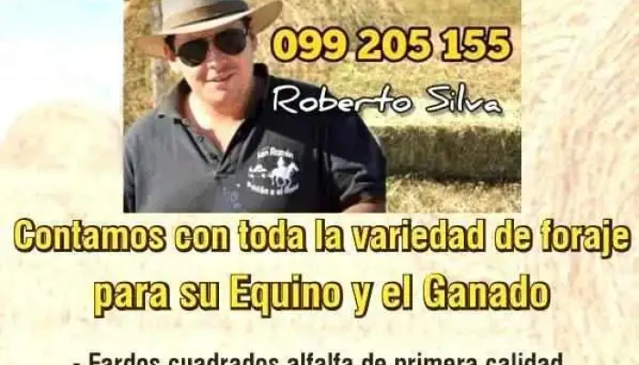 El Rey Del Fardo - Departamento De Canelones