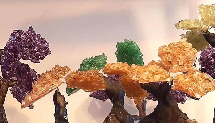 El Tambor -  Numero - Col. del Sacramento