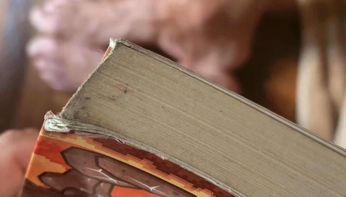 El Yelmo De Mambrino -  Descuentos - Montevideo