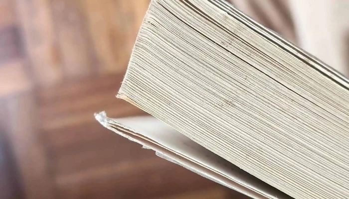 El Yelmo De Mambrino -  Opiniones - Montevideo