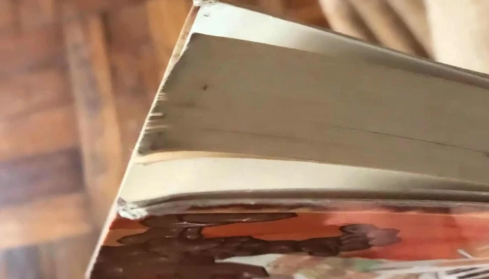 El Yelmo De Mambrino -  Puntaje - Montevideo