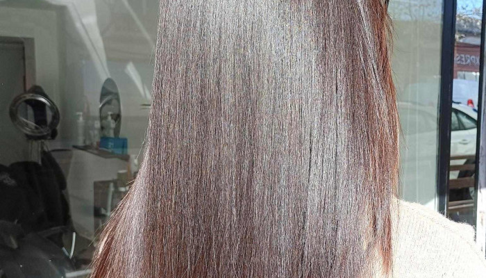 Ellensalon_pdlt - 45000 Paso De Los Toros