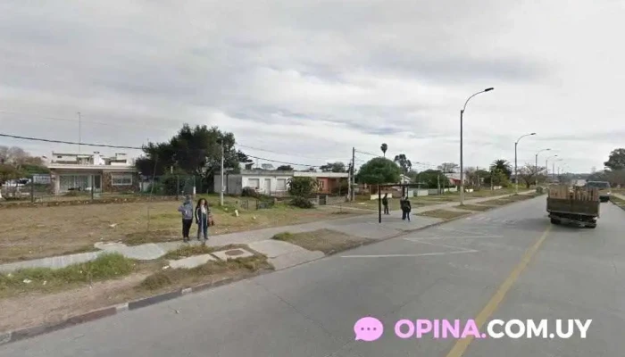 Empanadas de la casa - Montevideo