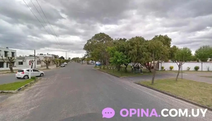 Empresa D.d. Dalmas - 70500 Juan L. Lacaze