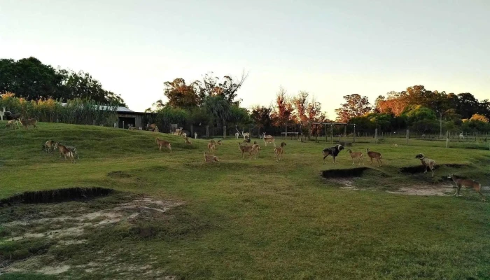Entrada parque Lecocq - Camino Albatros