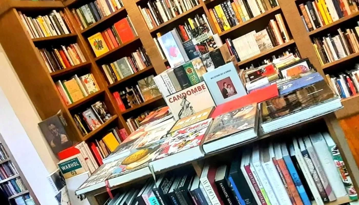 Escaramuza:  Comentario 4 - Librería