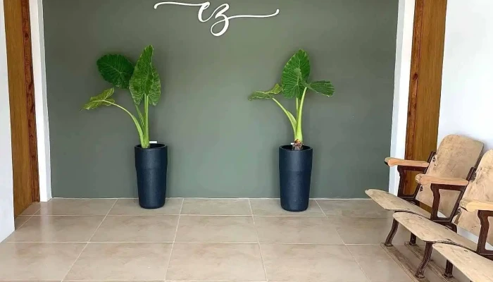 Escribania E Inmobiliaria Zinoveev Del Propietario - Young