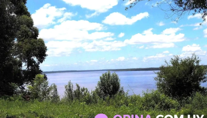 Escuela 102 -  Comentarios - Departamento de Paysandú