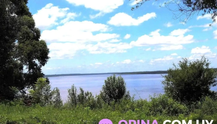 Escuela 102 - Departamento De Paysandú