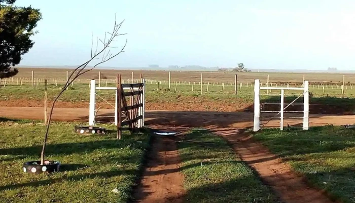 Escuela 108 - Laureles