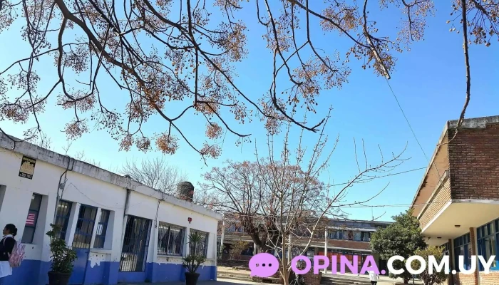 Escuela 130 -  Catalogo - Barros Blancos