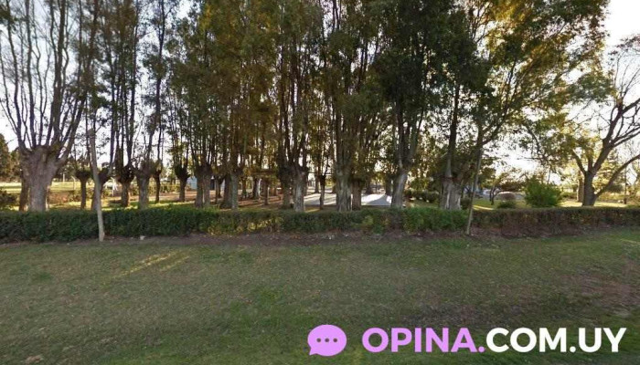 Escuela 15 - Dolores