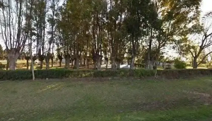 Escuela 15 -  Videos - Dolores