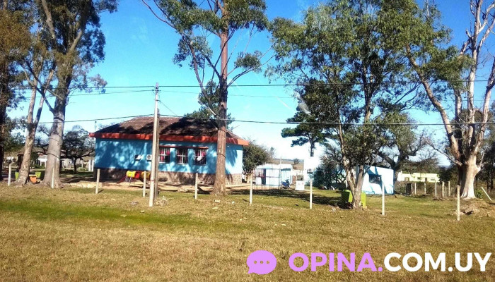 Escuela 19 -  Puntaje - Santa Clara de Olimar
