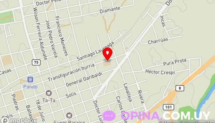 mapa de Escuela 194 Colegio público en Pando