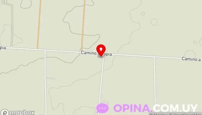 Escuela 207 - San Jacinto