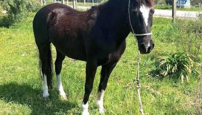 Escuela 213 - Departamento De Canelones