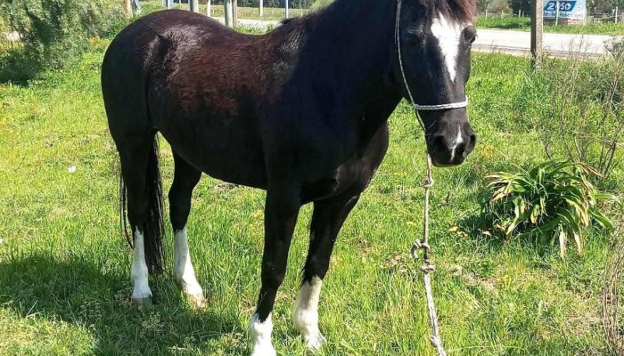 Escuela 213 -  Instagram - Departamento de Canelones