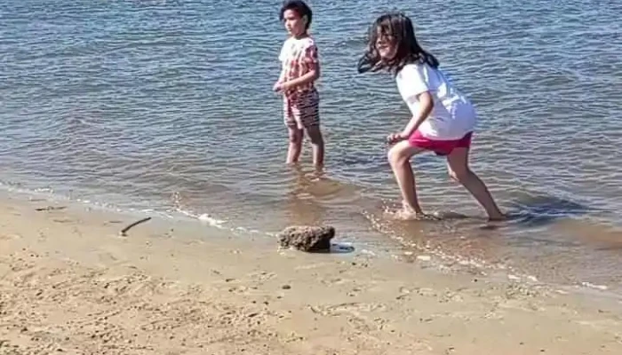 Escuela 213 -  Videos - Departamento de Canelones