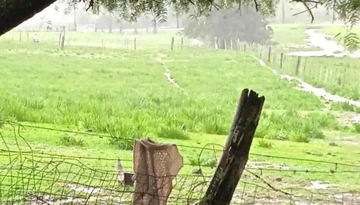 Escuela 23 - Florida