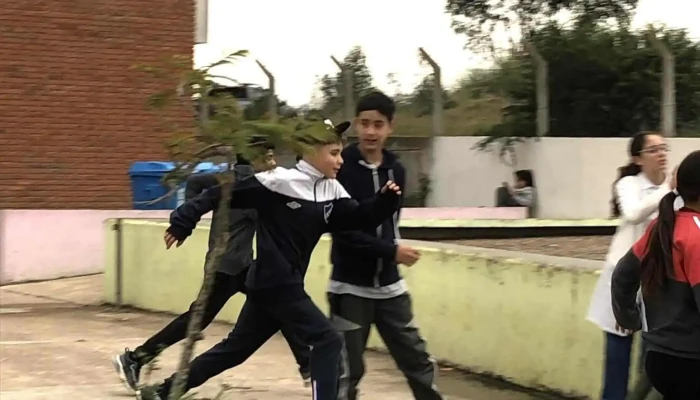 Escuela 291 -  Edificio - Casarino