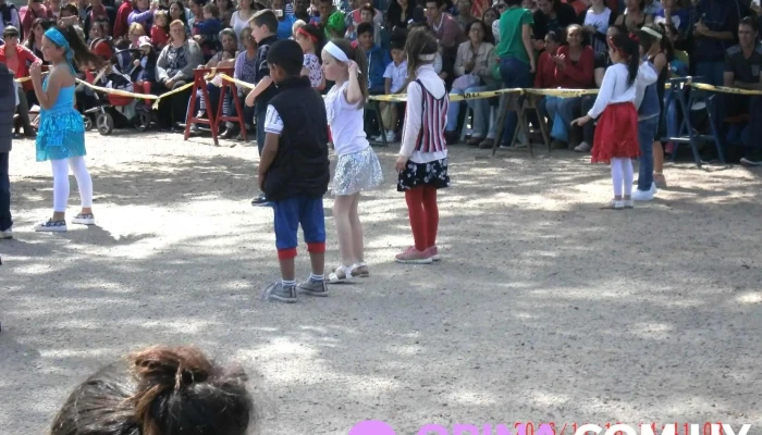 Escuela 335 -  Horario - Montevideo