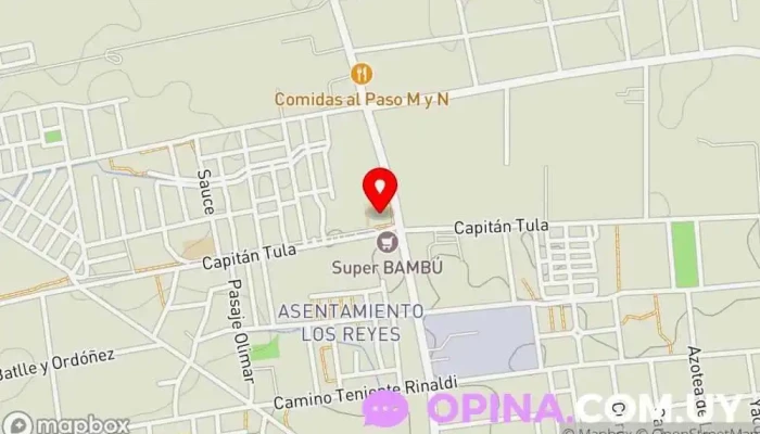 mapa de Escuela 335 Escuela en Montevideo