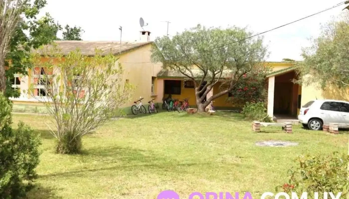 Escuela 41 -  Zona - Montes