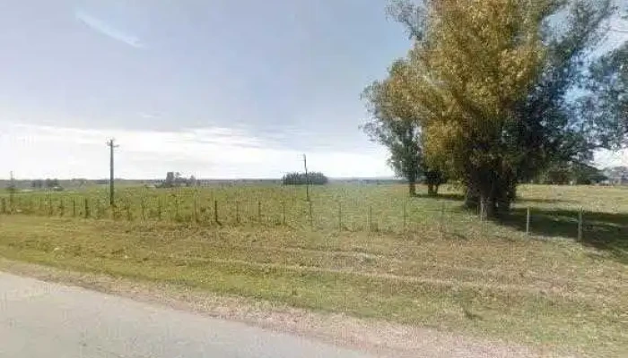 Escuela 41 -  Zonadeg - Montes