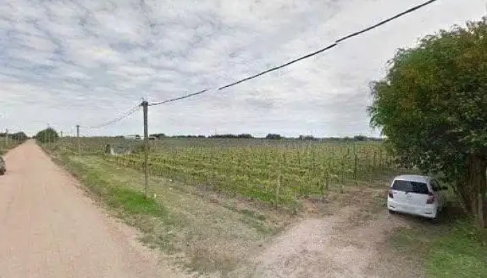 Escuela 45 Praxedes Pino -  Descuentos - Las Piedras